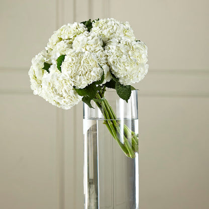 White Hydrangea Hand-Tied Bouquet –  Flowers By Van Brunt, Long Branch NJ