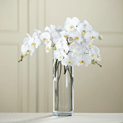 White Phalaenopsis Bouquet –  Flowers By Van Brunt, Long Branch NJ