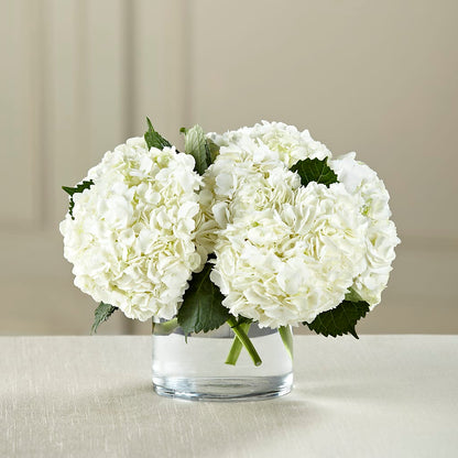 White Hydrangea Bouquet –  Flowers By Van Brunt, Long Branch NJ
